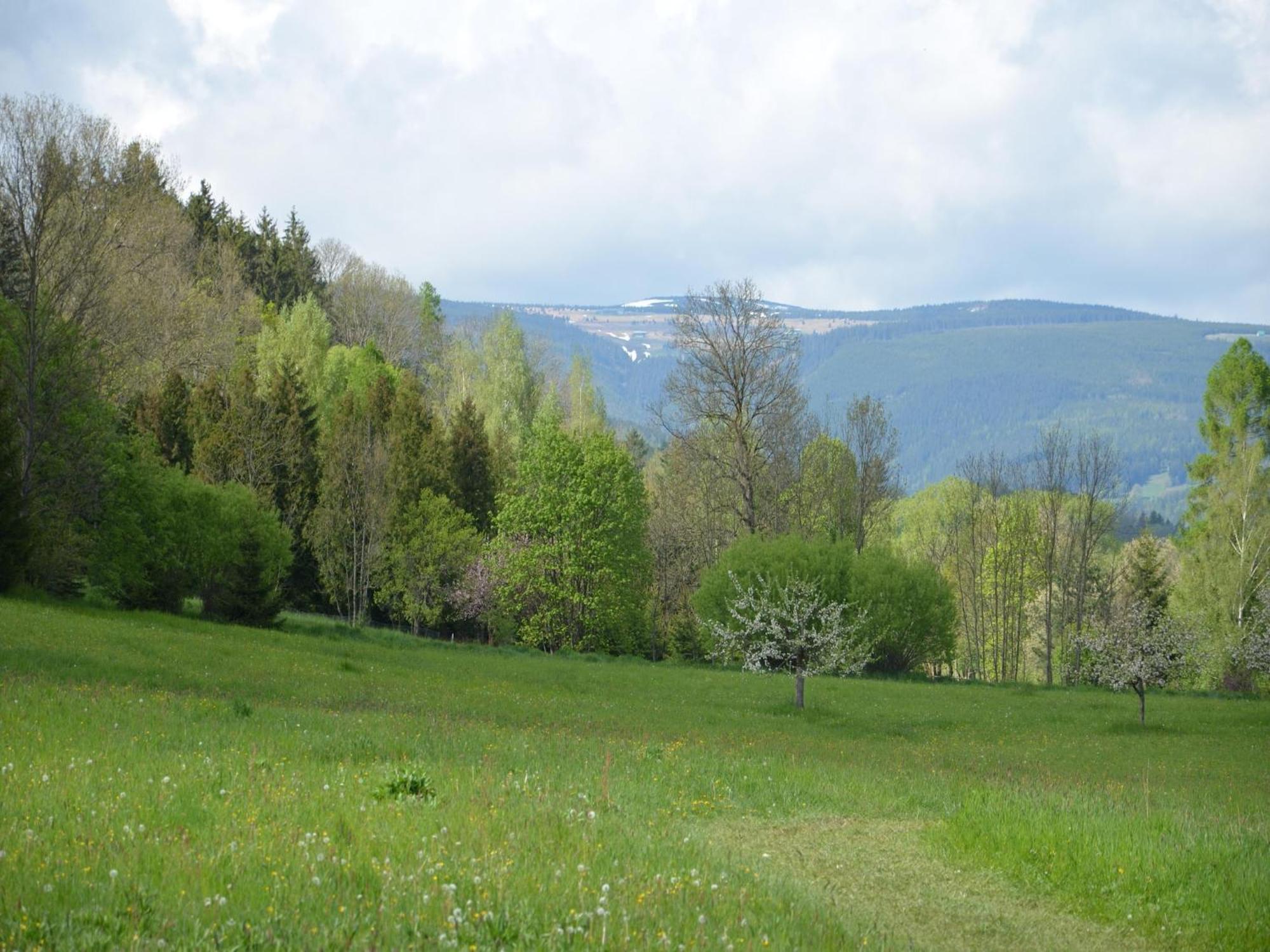 Apartment In Bohemian With Private Terrace Dolni Lanov Kültér fotó